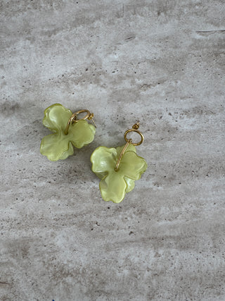 Pistachio bloom earrings