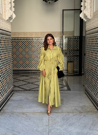 pistachio green lace detail dress- sirma